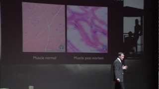 La thérapie cellulaire, avenir de la médecine? Fabrice Chrétien at TEDxParis 2012