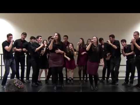 Chevra Medley (Winter 2017)