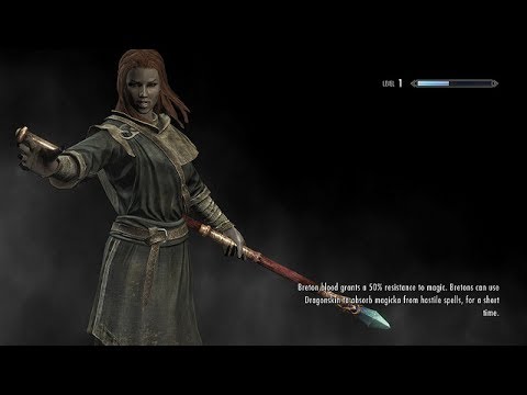 Die Bretonen - Elder Scrolls Lore #53