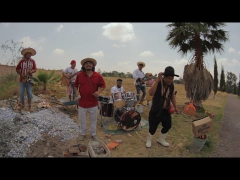 LA CAPSULA "LOS COLONCHOS" oficial 2016