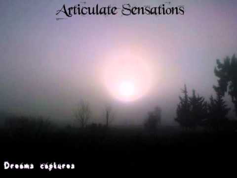 Articulate Sensations - The Funeral of Blond Angel