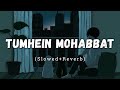 Tumhein Mohabbat [Slowed + Reverb] - Arijit Singh | Lofi Song | Atrangi Re Movie Song | Danish Pwskr