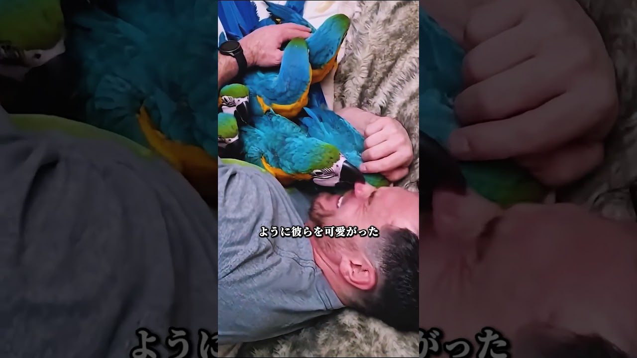 毎日一つ、心温まる小話を