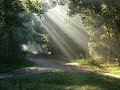 Peaceful Music, Relaxing Music, Instrumental Music "Pine Covered Path" by Tim Janis