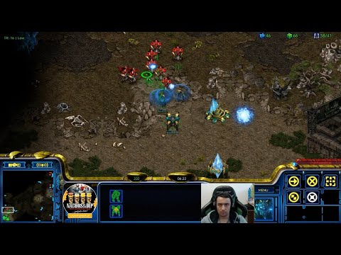 Fun Bonyth PvZ on Polypoid [5.25.22]