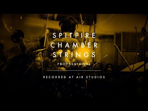 Spitfire Chamber Strings Professional