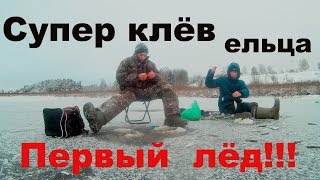 Ловля ельца по первому льду