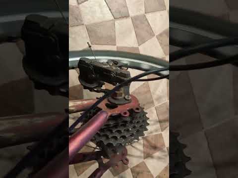 top speed from speedometer was 76/kmh