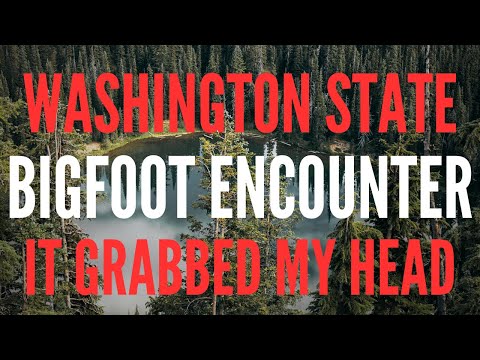 BIGFOOT ENCOUNTER WHILE STALKING ELK | "It Grabbed My Head When I Was Sleeping!!!"