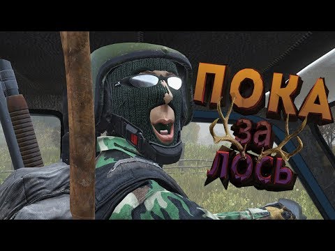 50 оттенков Медведя │ DayZ  │ Livonia