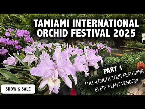 2025 Tamiami International Orchid Festival | Full Tour Featuring ALL ORCHID & PLANT VENDORS (PART 1)