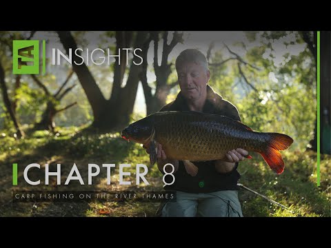 Carp Fishing on the River Thames | TA|Insights | Nick Helleur | How to Catch River Carp