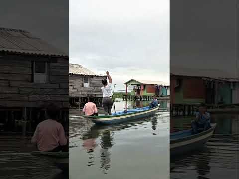 Aqui les muestro el pueblo nueva Venecia en la cienaga del magdalena miren viendo 👀