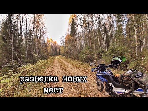 Моторазведка новых мест и осенние похождения в поисках рябчика/ Motoland XR 250 ендуро 2020