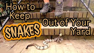 How to KEEP SNAKES OUT of Your Yard 🚫🐍