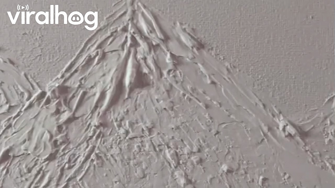 Artist Creates a Landscape Painting Using Only White || ViralHog