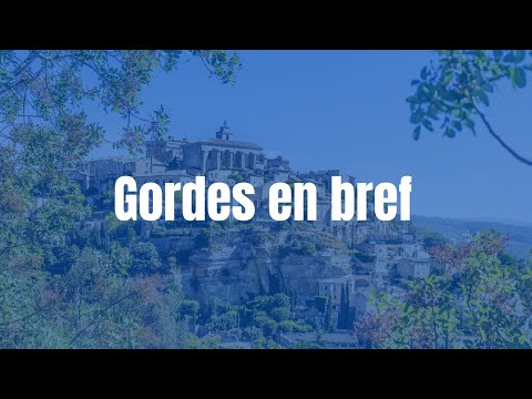 Video vignette