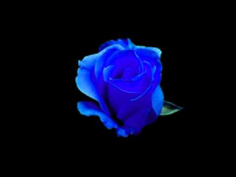 dj fonxu - talking to the moon.wmv