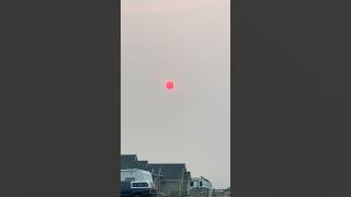 Have You Even Seen A Pink Sun?