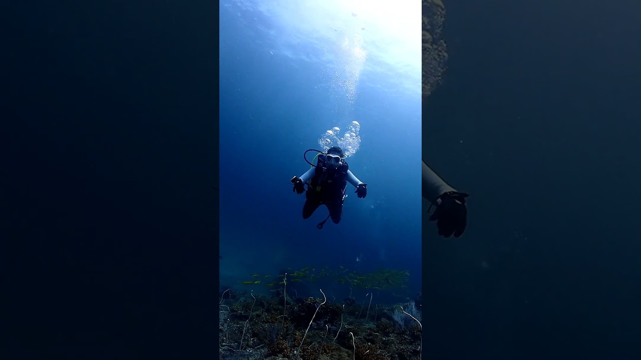 YouTube Short thumbnail