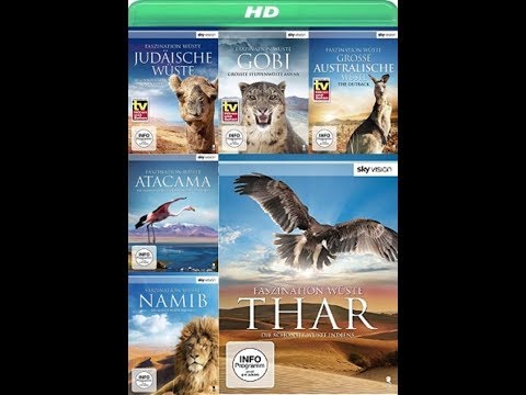 FASZINATION WÜSTE - #006 - Die Namib - Die älteste Wüste