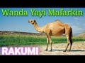 Wanda Yayi Mafarkin Rakumi