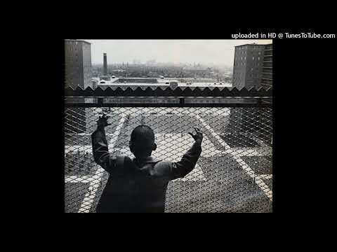 Low Down Niggs - So Much Pain (1995, Chicago IL)