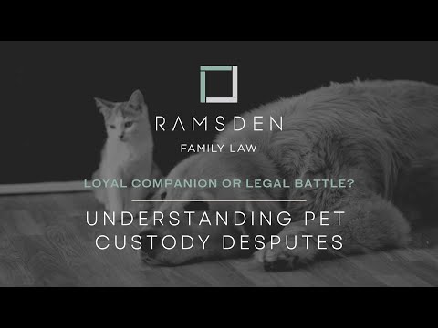 Ramsden Family Law video.