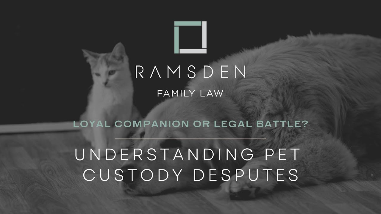 Understanding Pet Custody Disputes - Ramsden Family Law