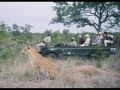 Going Back To Africa David Amunga
