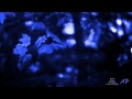 OMAR AKRAM - Whispers In The Moonlight
