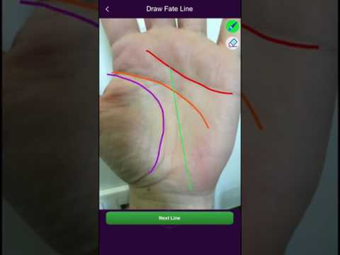 Palm Reading Insights -- Palmistry Palm Reader App Video