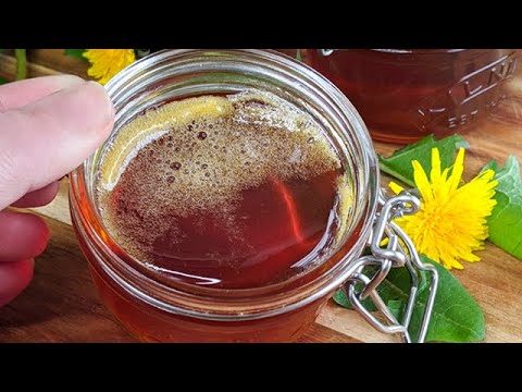 Löwenzahnhonig: das Geheimrezept für leckeren und kostenlosen Honig!