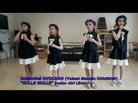 SULLE MULLE classroom video
