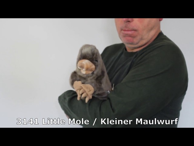 Video teaser per 3141 Little Mole / kleiner Maulwurf Handpuppe   -   FOLKMANIS-PUPPETS