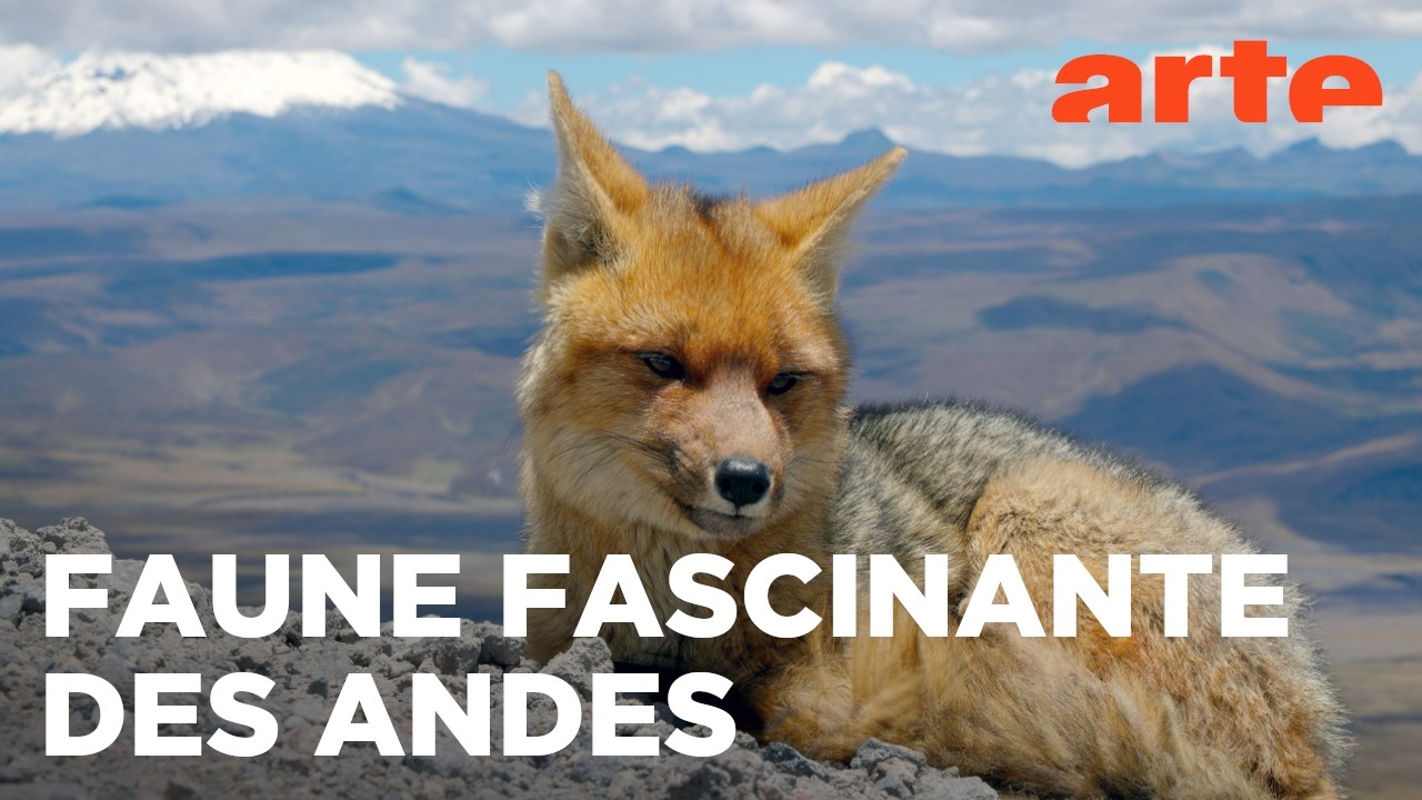 De l'Amazonie aux volcans andins | L'Équateur, au sommet de la biodiversité (1/2) | ARTE Évasion