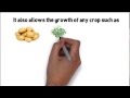 Old World AquaFarm&trade; Website