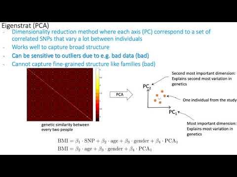 MCB 182 Lecture 12.8 - PCA for analysis of population structure in GWAS, multiple hypothesis testing