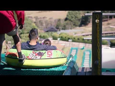 Enchanted Adventure: the Home of Tree Surfing