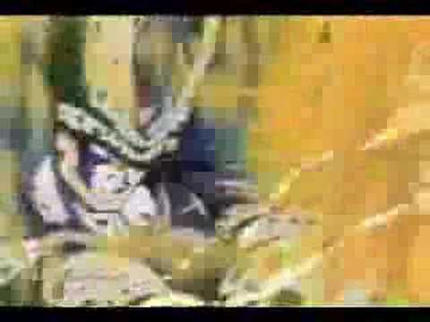 Orgy - Faces (DragonBall Z Trunks)