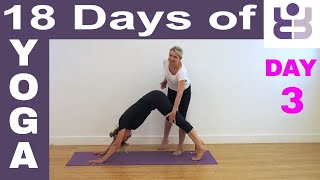 18 Days of Yoga - DAY 3. Iyengar Yoga Tutorial