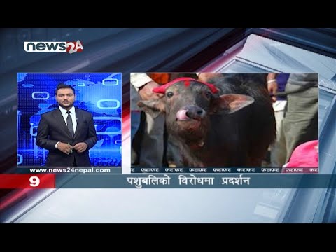 MORNING NEWS FATAFAT - NEWS24 TV