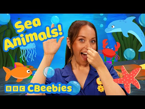 海の生き物で遊ぼう！ 🐬🌊 | イーヴィーと友達のCBeebiesハウスでの楽しい時間 🌈✨ (Time to Play Under the Sea Animals  🐬🌊 | CBeebies House Fun with Evie and Friends 🌈✨)