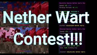 Hypixel SkyBlock　[Nether Wart ]★Bountiful Reforge★　VS　 ★Blessed Reforge★