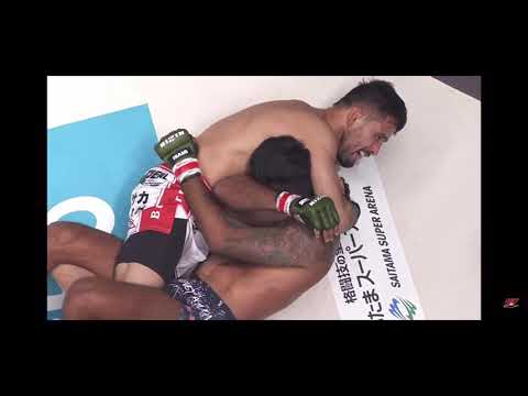 クレベルコイケ RIZINでのフィニッシュ集