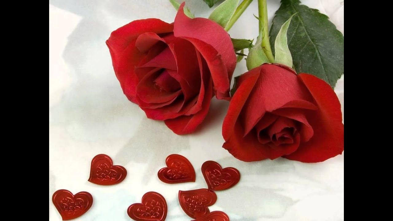 Khat Likna Lyrics  | Khuddar | Govinda, Karishma Kapoor | Alka Yagnik, Sonu Nigam | Anu Malik