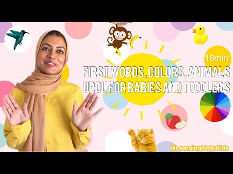 First Words, Colors, Animals in Urdu for Babies and Toddlers | Learning Urdu Kids