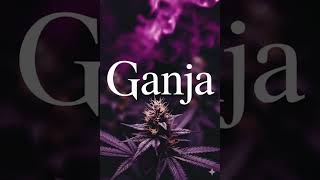 Download lagu Gentiana - Ganja mp3 Download lagu Gentiana - Ganja mp3