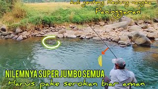 Download lagu FISHING FOR NILEM IN 3.5M DEEP WATERS, THE PULL IS INCREDIBLE #fishing #nilem_fishing #fishing mp3 Download lagu FISHING FOR NILEM IN 3.5M DEEP WATERS, THE PULL IS INCREDIBLE #fishing #nilem_fishing #fishing mp3
