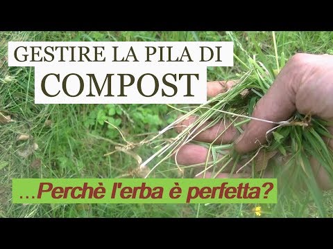 Potenzialità e aumentare lerezione Gocce per il martello di Thor potenza divorzio o no